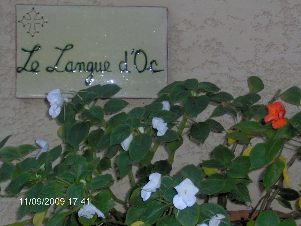 آجد Hotel Le Langue D'Oc المظهر الخارجي الصورة